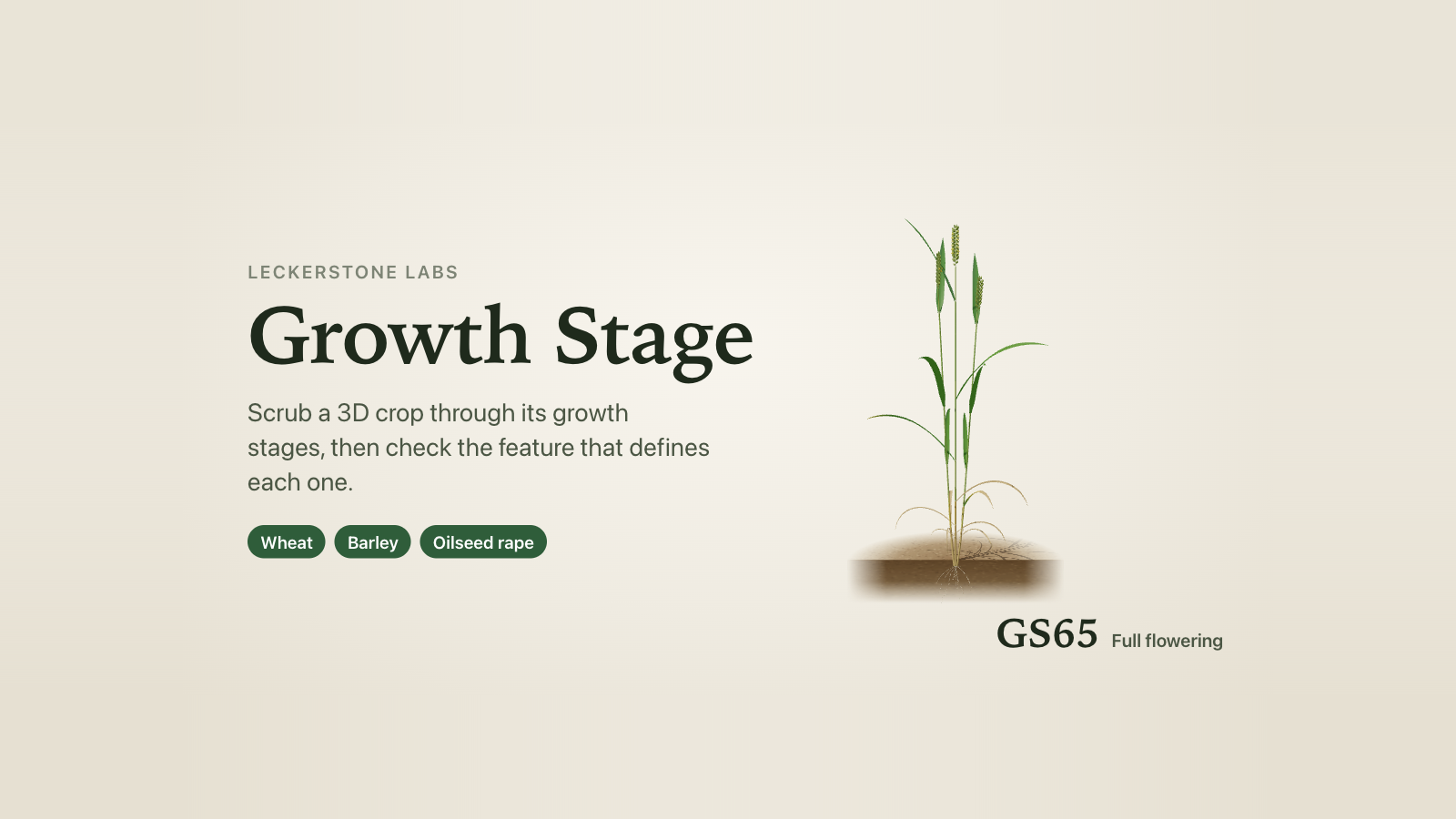 The Growth Stage title and tagline, "Scrub a 3D crop through its growth stages, then check the feature that defines each one", with wheat, barley and oilseed rape tags beside a 3D winter wheat plant at GS65, full flowering.